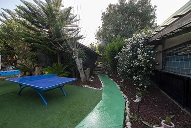 לאונרדו בטבע