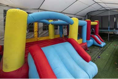 לאונרדו בטבע