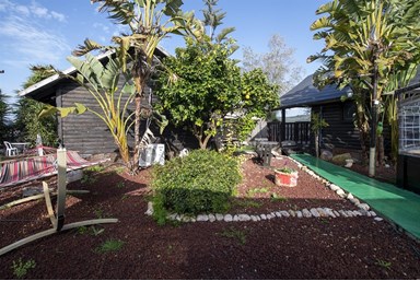 לאונרדו בטבע - מתחם החוץ והבריכה