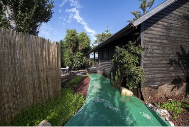 לאונרדו בטבע