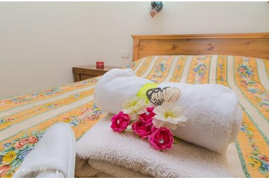 טל החרמון - בצל עץ הזית