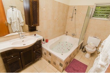 טל החרמון - בצל עץ הזית