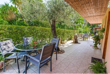 טל החרמון - בחצר שלנו