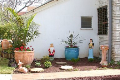 טל החרמון - בחצר שלנו