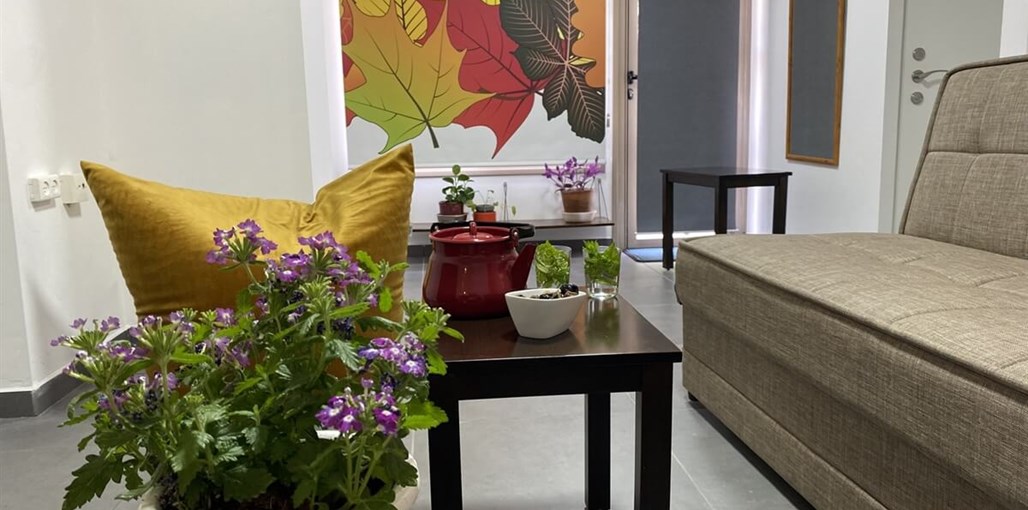 נבו ברמה קומותיים ברמה (13).JPG