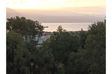 שלהבת זהרון אילת