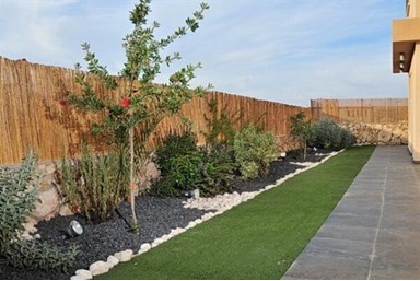 סוויטות ארגמן