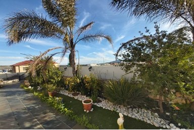 סוויטות ארגמן