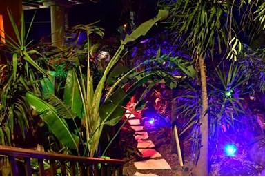 בין אומנות לטבע - החצר והסביבה