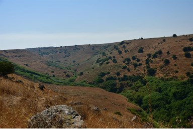 בין אומנות לטבע - צימרים זוגיים