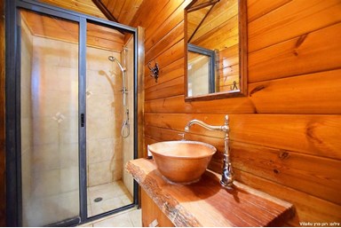 בין אומנות לטבע