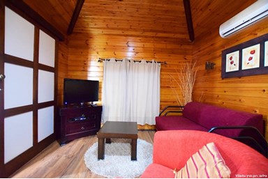 בין אומנות לטבע