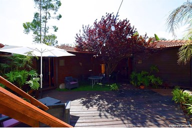 בין אומנות לטבע