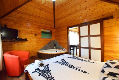 בין אומנות לטבע