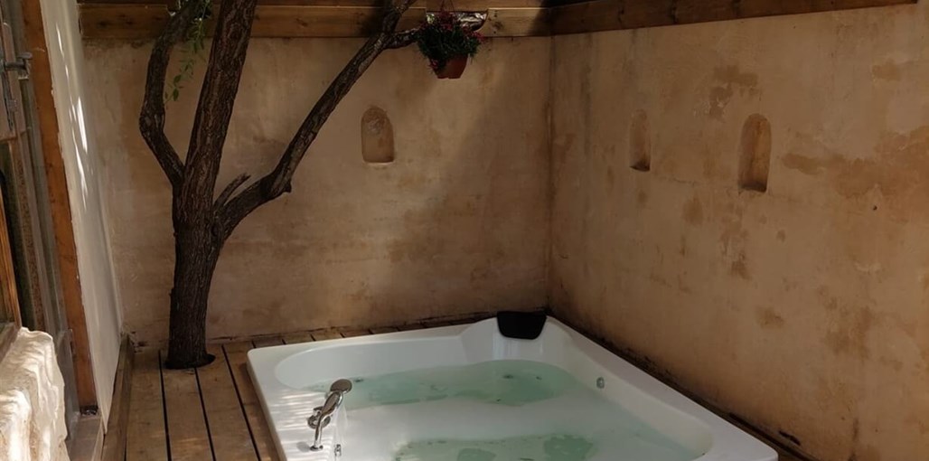 השקדייה IMG-20220403-WA0073.jpg