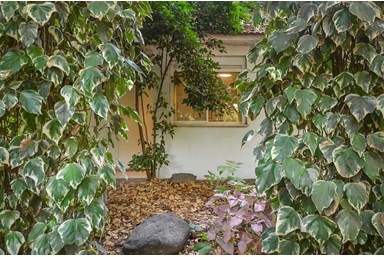 בבוסתן - תמר ודני שחר - בחצר שלנו