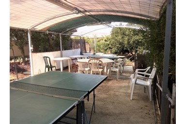 פינת הגפן - אירוח כפרי - החצר והנוף