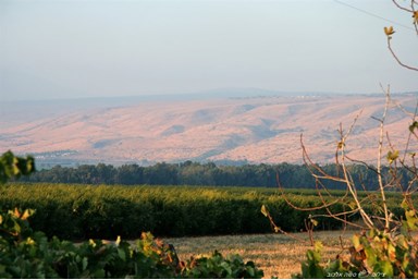 פינת הגפן - אירוח כפרי