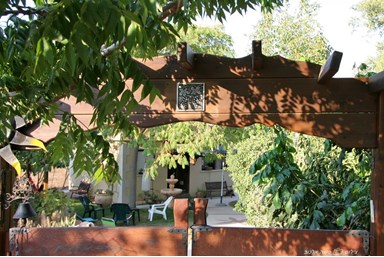 פינת הגפן - אירוח כפרי - החצר והנוף