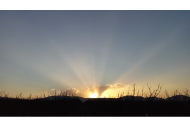 פינת הגפן - אירוח כפרי