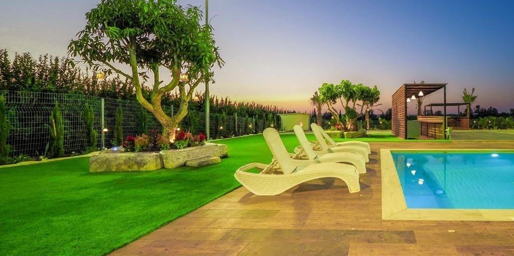 גרין דיימונד תמונות חצר (1).jpeg