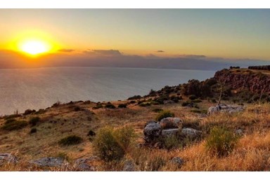 נגיעות הגולן