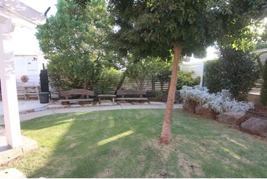 כנרת הילס - Kinneret Hills - החצר