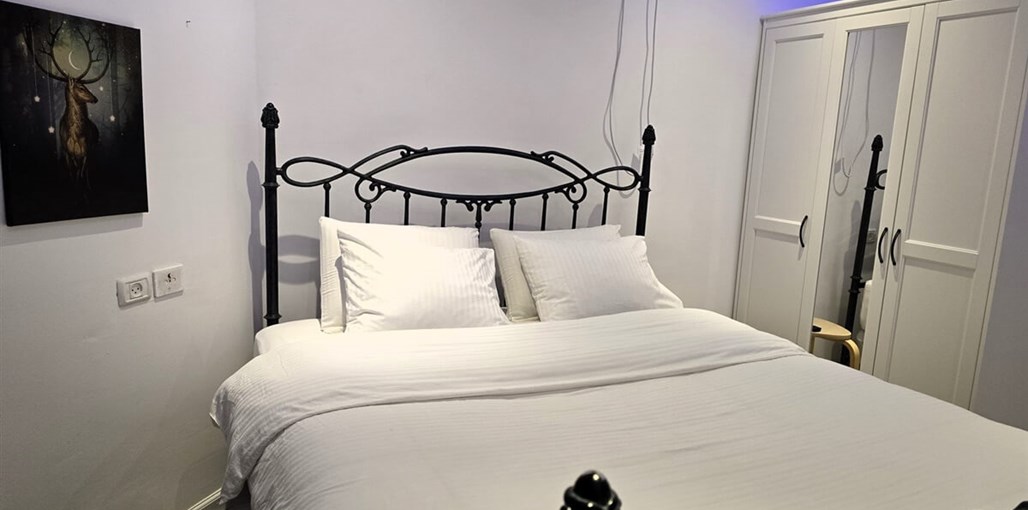 אננדה ערד פנים חדשות (2).jpg