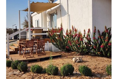 סוויטות לבנדר ים המלח - המטבח, החצר והנוף