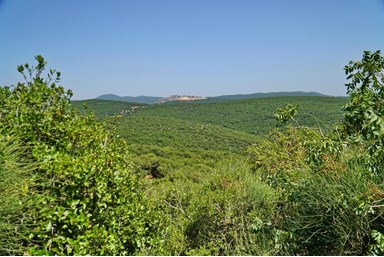 בקתות בית מאיר אבירים  - החצר, הג'קוזי והסאונה