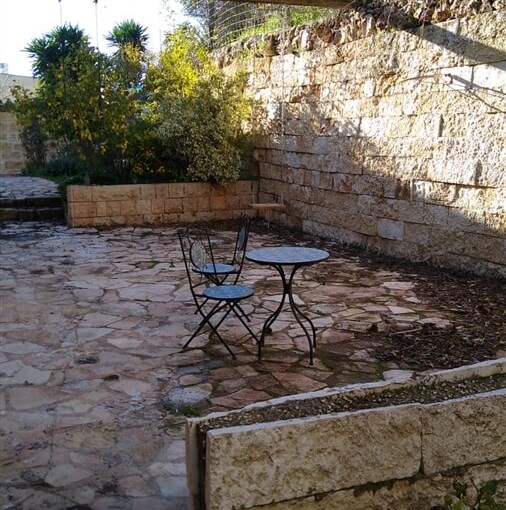 אורה בצל התאנה בצל התאנה אורה (3).jpeg