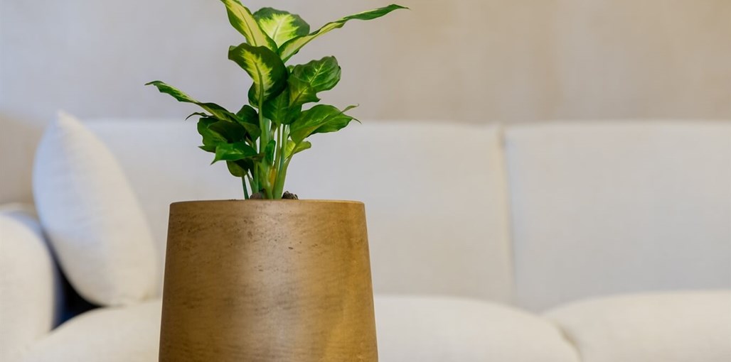 הגפן סוויטות אירוח בוטיק חדר 1 (3).jpg