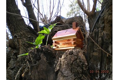 Wood House Inn בית העץ - חצר, נוף והנחל