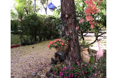 Wood House Inn בית העץ - חצר, נוף והנחל