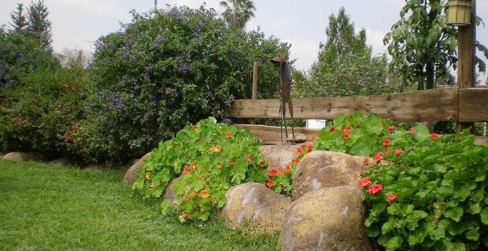 Wood House Inn בית העץ חצר, נוף והנחל (17).JPG