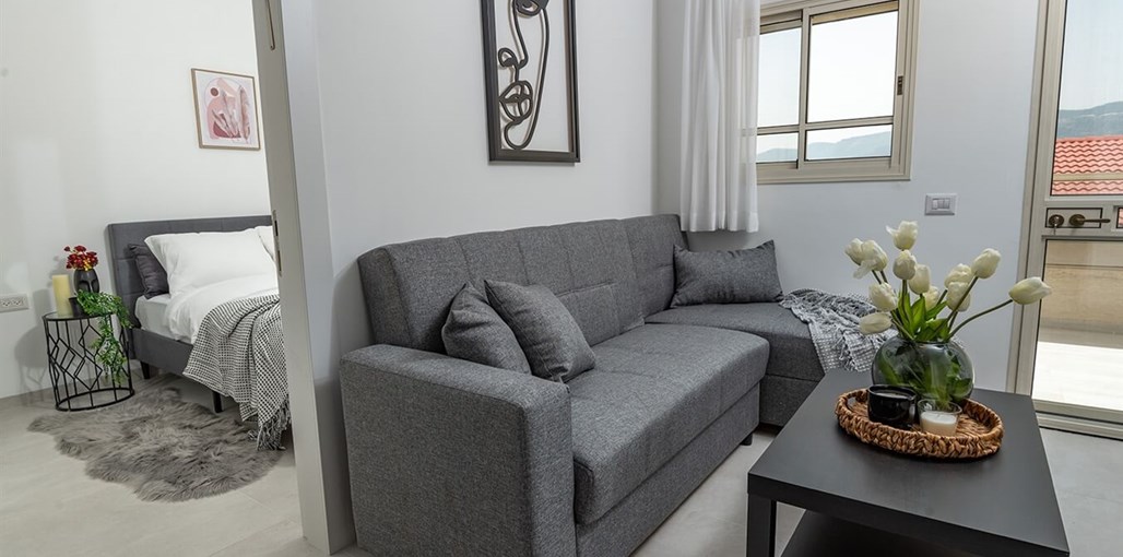 ממלכת דוד באופק הגלילי ממלכת (36).jpg