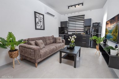 ממלכת דוד באופק הגלילי