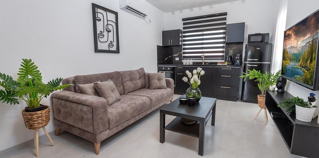 ממלכת דוד באופק הגלילי ממלכת (10).jpg