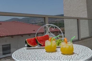 ממלכת דוד באופק הגלילי