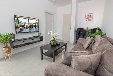 ממלכת דוד באופק הגלילי