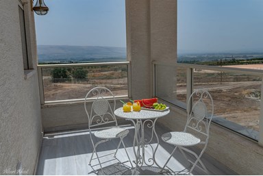 ממלכת דוד באופק הגלילי