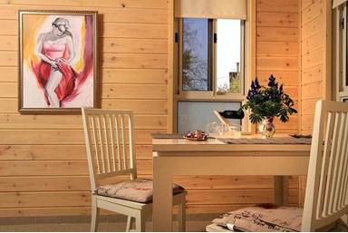 צימר מתוש - הבריכה