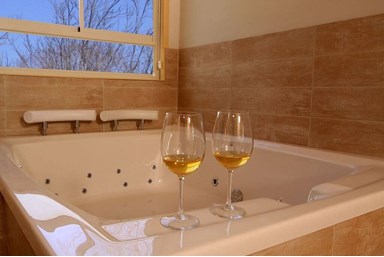 צימר מתוש - החצר