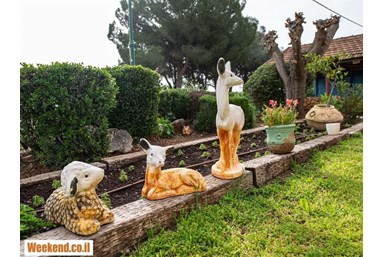 צימר כפרי הררית - 