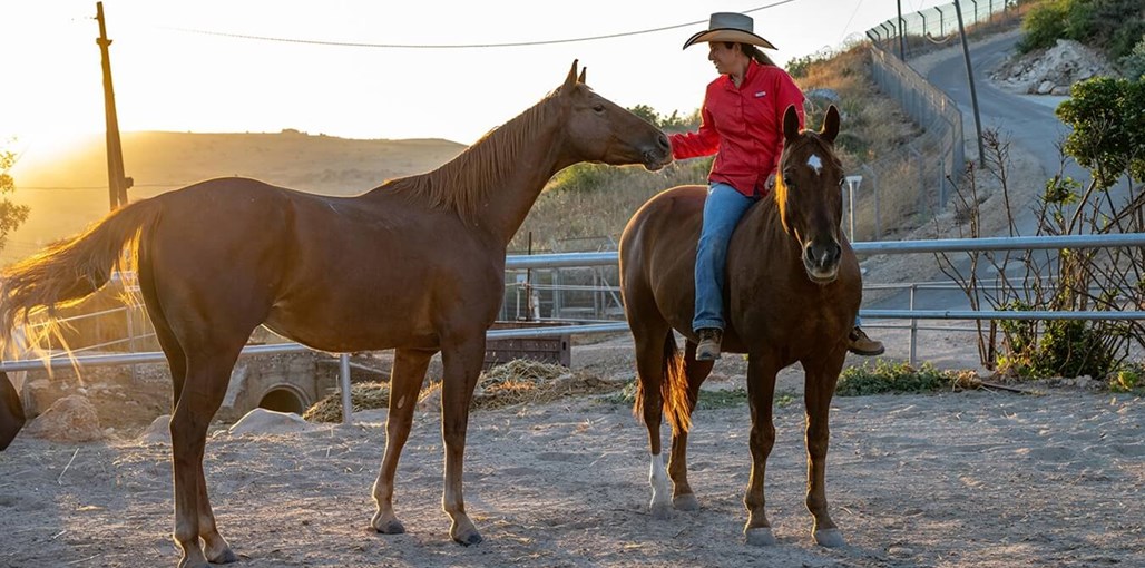 נופש בהרים סוסים (13).jpg