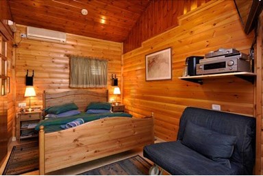 און בר קייט - העץ הסגול