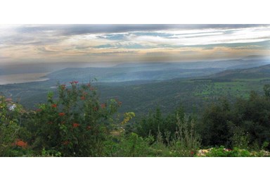 און בר קייט - החצר והגינה