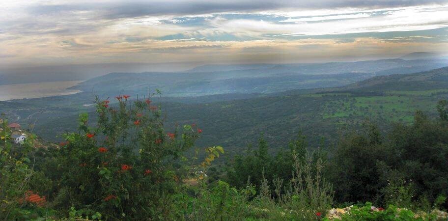 און בר קייט החצר (5).jpg