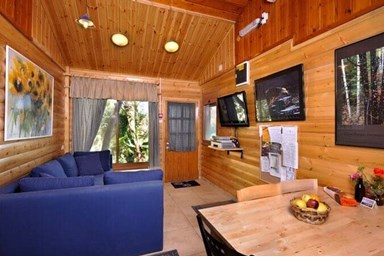 און בר קייט - העץ הסגול