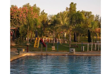 בצל התמרים - החצר והסביבה